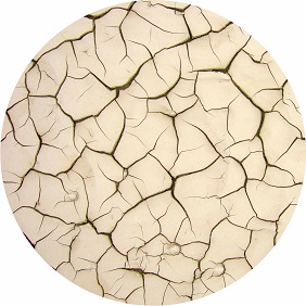 Анальная трещина