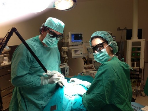 Помощь врача проктолога в Дагестане